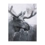 102280-S - Animal Portrait I by Mercana Studio a Hand Embellished Textured Canvas