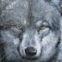 102281-L - Animal Portrait II by Mercana Studio a Hand Embellished Textured Canvas