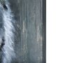 102281-S - Animal Portrait II by Mercana Studio a Hand Embellished Textured Canvas