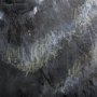 102282-L - Animal Portrait III by Mercana Studio a Hand Embellished Textured Canvas