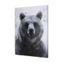 102282-S - Animal Portrait III by Mercana Studio a Hand Embellished Textured Canvas