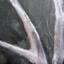 102283-L - Animal Portrait IV by Mercana Studio a Hand Embellished Textured Canvas