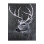 102283-S - Animal Portrait IV by Mercana Studio a Hand Embellished Textured Canvas