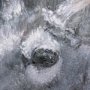 102283-S - Animal Portrait IV by Mercana Studio a Hand Embellished Textured Canvas