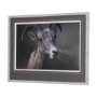 14364 - Big Horn Sheep by Chad Mackay a Hand Embellished Textured Framed Photo Art Print Matted under Glass