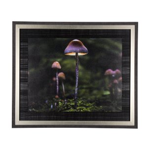 Mushroom by Chad Mackay a Hand Embellished Textured Framed Photo Art Print