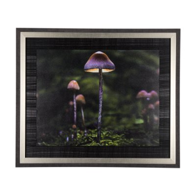 14373 - Mushroom by Chad Mackay a Hand Embellished Textured Framed Photo Art Print