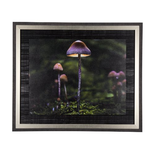 14373 - Mushroom by Chad Mackay a Hand Embellished Textured Framed Photo Art Print