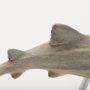 57324 - Willa Small Whale Shark sculpture