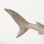57324 - Willa Small Whale Shark sculpture