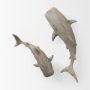 57324 - Willa Small Whale Shark sculpture