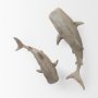 57325 - Willa Large Wall Mountable Whale Shark Sculpture