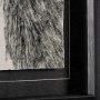 13268 - Three is a Crowd I by Mercana Studio a Hand Embellished Textured Framed Art Print Matted under Glass