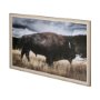 12491 - Yellowstone Bison by Dunker a Framed Photo Art Print Matted under Glass