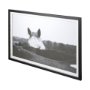 12492 - Flirt by Aledanda a Framed Photo Art Print Matted under Glass