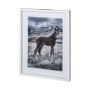 12569 - Horse 3 by Dunker a Framed Photo Art Print Matted under Glass