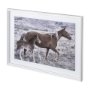 12571 - Horse 2 by Dunker a Framed Photo Art Print Matted under Glass