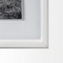 12571 - Horse 2 by Dunker a Framed Photo Art Print Matted under Glass