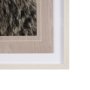 12648 - Bear Focus - Hush by Wink Gaines a Hand Embelished Textured Framed Art Photo Matted under Glass