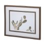 12673 - AZ Botanical 37 by Dunker a Framed Art Print Matted under Glass