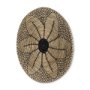 69604 - Mekhi 24.0L x 24.0W x 3.5 Light Brown Seagrass W/Black String Round Wall Hanging Plate 