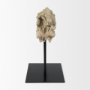 70183 - Dwell Cholla Wood Resin Decorative Object