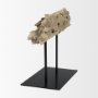 70183 - Dwell Cholla Wood Resin Decorative Object