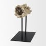 70183 - Dwell Cholla Wood Resin Decorative Object