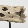 70183 - Dwell Cholla Wood Resin Decorative Object