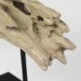 70183 - Dwell Cholla Wood Resin Decorative Object