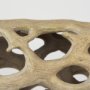 70184 - Dwell Cholla Wood Resin Decorative Object