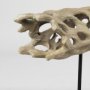 70184 - Dwell Cholla Wood Resin Decorative Object