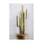102322-L - cactus II by Mercana Studio a Hand Embellished Textured Canvas