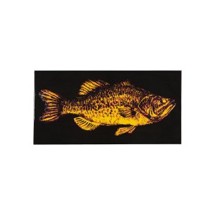 Largemouth Bass Orange by Mercana Studio a Hand Embellished Textured Canvas