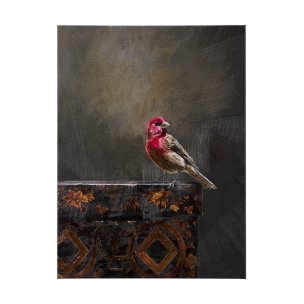 Graceful Poise I (House Finch)(42 x 56)