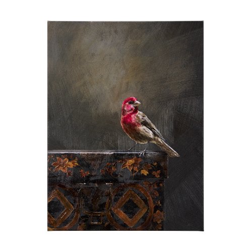 102344-L - Graceful Poise I (House Finch)(42 x 56)