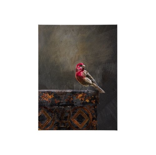 102344-S - Graceful Poise I (House Finch)(30 x 40)