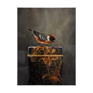 Graceful Poise III  (Bay-Breasted Warbler)