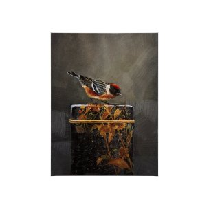 Graceful Poise III  (Bay-Breasted Warbler)(30 x 40)