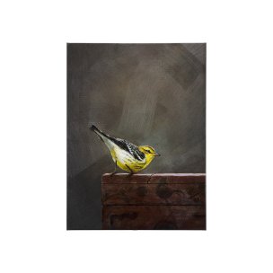Graceful Poise IV  (Blackburnian Warbler)(30 x 40)