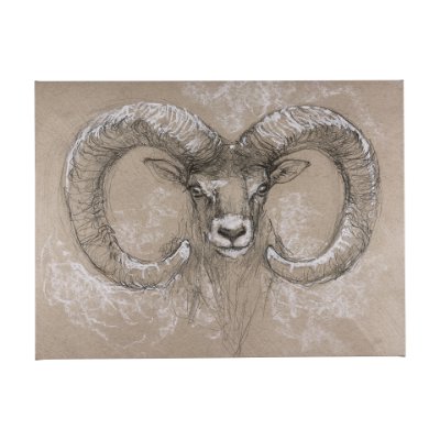 102350-L - Sketch of animal I (Wild sheep) by Mercana Studio a Hand Embellished Textured Canvas