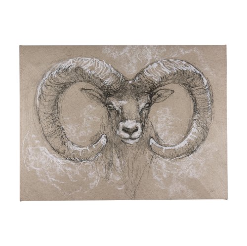 102350-L - Sketch of animal I (Wild sheep) by Mercana Studio a Hand Embellished Textured Canvas