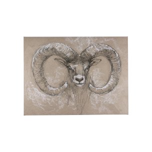 Sketch of animal I (Wild sheep) by Mercana Studio a Hand Embellished Textured Canvas