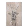 102354-L - Sketch of animal V (Goat) by Mercana Studio a Hand Embellished Textured Canvas