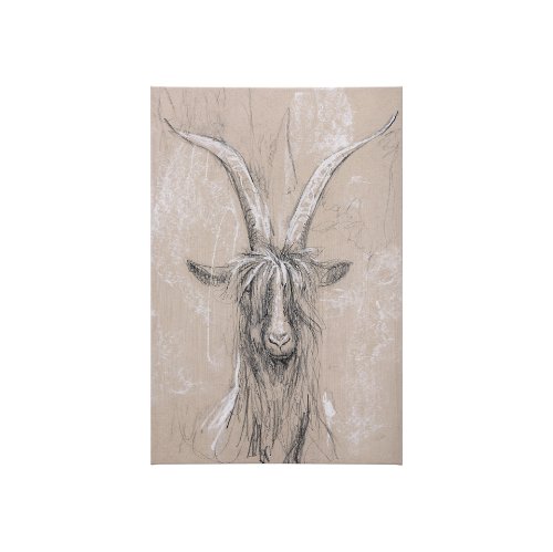 102354-S - Sketch of animal V (Goat) by Mercana Studio a Hand Embellished Textured Canvas