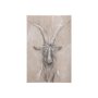 102354-S - Sketch of animal V (Goat) by Mercana Studio a Hand Embellished Textured Canvas