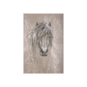 Sketch of animal VI (Pony) by Mercana Studio a Hand Embellished Textured Canvas