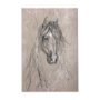 102356-L - Sketch of animal VII (Horse) by Mercana Studio a Hand Embellished Textured Canvas