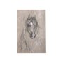 102356-S - Sketch of animal VII (Horse) by Mercana Studio a Hand Embellished Textured Canvas