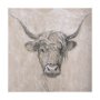 102357-L - Sketch of animal VIII (Highland bull) by Mercana Studio a Hand Embellished Textured Canvas